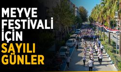 Tropikal meyve festivali için sayılı günler