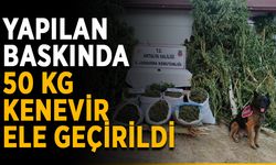 Yapılan baskında 50 kg kenevir ele geçirildi