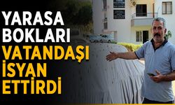 Yarasa bokları vatandaşı isyan ettirdi