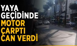 Yaya geçidinde motor çarptı, can verdi