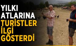 Yılkı atları turistlerin ilgi odağı oldu