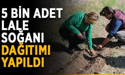5 bin adet lale soğanı dağıtımı yapıldı