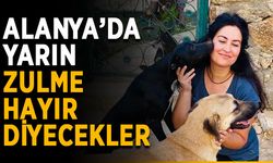 Alanya'da hayvan zulmüne karşı ayaklanma