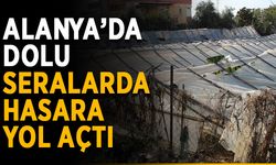 Alanya’da dolu seralarda hasara yol açtı