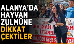 Alanya’da hayvan zulmüne dikkat çektiler