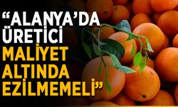 “Alanya’da üretici maliyet altında ezilmemeli”
