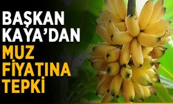 Başkan Kaya’dan muz fiyatına tepki
