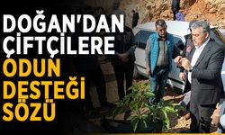Doğan'dan çiftçilere odun desteği sözü