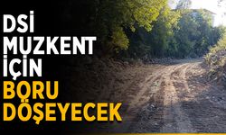 DSİ Muzkent için boru döşeyecek
