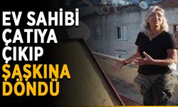 Ev sahibi çatıya çıkıp şaşkına döndü