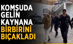 Komşuda gelin kaynana birbirini bıçakladı