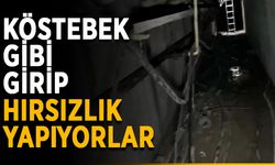 Köstebek gibi girip hırsızlık yapıyorlar