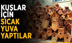 Kuşlar için sıcak yuva yaptılar