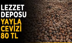 Lezzet deposu yayla cevizi 80 TL
