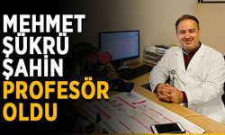 Mehmet Şükrü Şahin profesör oldu