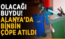 Olacağı buydu! Alanya’da binbin çöpe atıldı