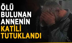 Ölü bulunan annenin katili tutuklandı