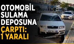 Otomobil sulama deposuna çarptı: 1 yaralı