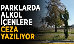 Parklarda alkol içenlere ceza yazılıyor