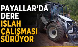Payallar’da dere ıslah çalışması sürüyor