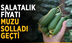 Salatalık fiyatı muzu solladı geçti