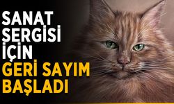 Sanat sergisi için geri sayım başladı