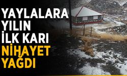 Yaylalara yılın ilk karı nihayet yağdı