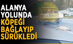 Alanya yolunda köpeği bağlayıp sürükledi