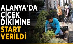 Alanya’da çiçek dikimine start verildi