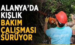 Alanya’da kışlık bakım çalışması sürüyor