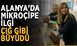 Alanya’da mikroçip uygulaması yoğun ilgi görüyor
