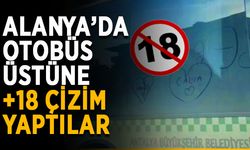 Alanya’da otobüs üstüne +18 çizim yaptılar