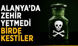 Alanya’da zehir yetmedi, birde kestiler