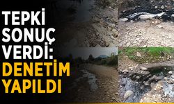 Çevreyi kirleten zeytinyağı fabrikaları denetlendi