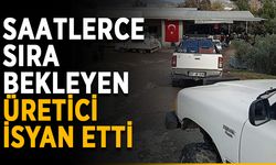 Gazipaşa'da zeytinyağı fabrikası talebi karşılamıyor