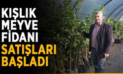 Kışlık meyve fidanı satışları başladı