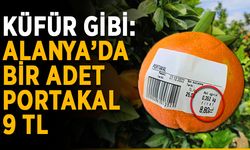 Küfür gibi: Alanya’da bir adet portakal 9 TL