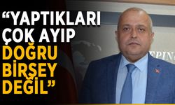 “Yaptıkları çok ayıp, doğru değil”