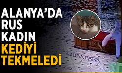 Alanya Azura Park'ta kediye şiddet