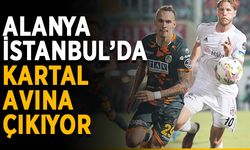 Alanya İstanbul’da kartal avına çıkıyor