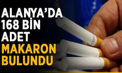 Alanya’da 168 bin adet makaron bulundu
