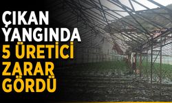Alanya’da çıkan yangında 5 üretici zarar gördü