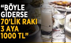 “Böyle giderse 70'lik rakı 3 aya 1000 TL”