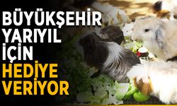 Büyükşehir yarıyıl için hediye veriyor