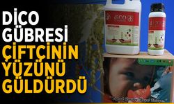 DİCO gübresi çiftçinin yüzünü güldürdü