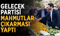 Gelecek Partisi Mahmutlar çıkarması yaptı