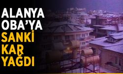 Obalılar sevinçli: Mahalle beyaza büründü