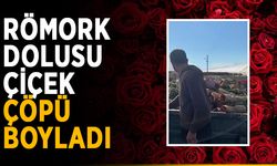 Römork dolusu çiçek çöpü boyladı