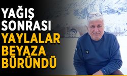 Yağış sonrası yaylalar beyaza büründü