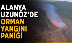 Alanya Uzunöz’de orman yangını paniği